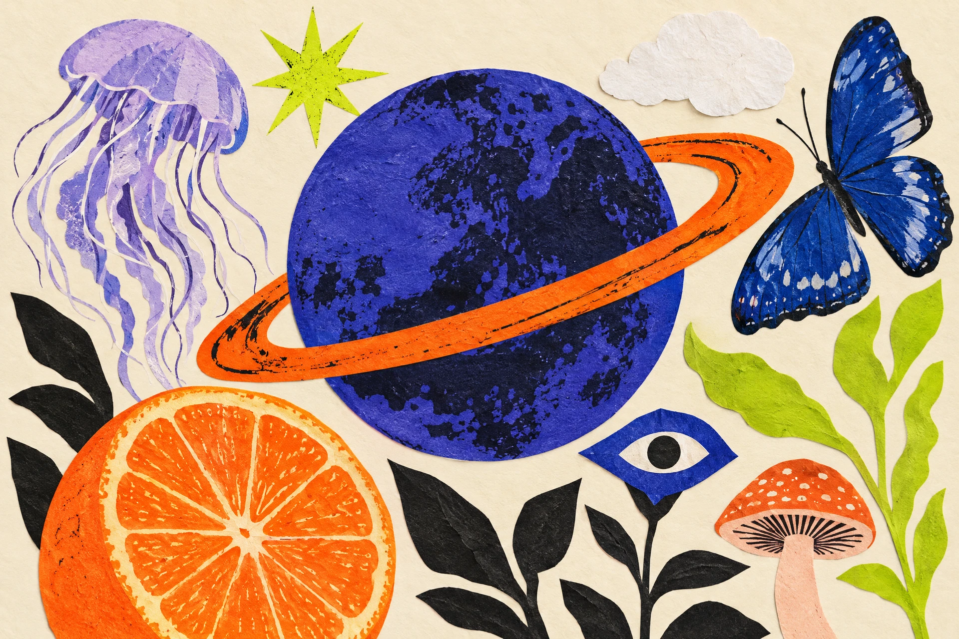 Colorful cut-paper curiosities: a ringed planet, citrus slice, butterfly, flower, mushroom and cloud.